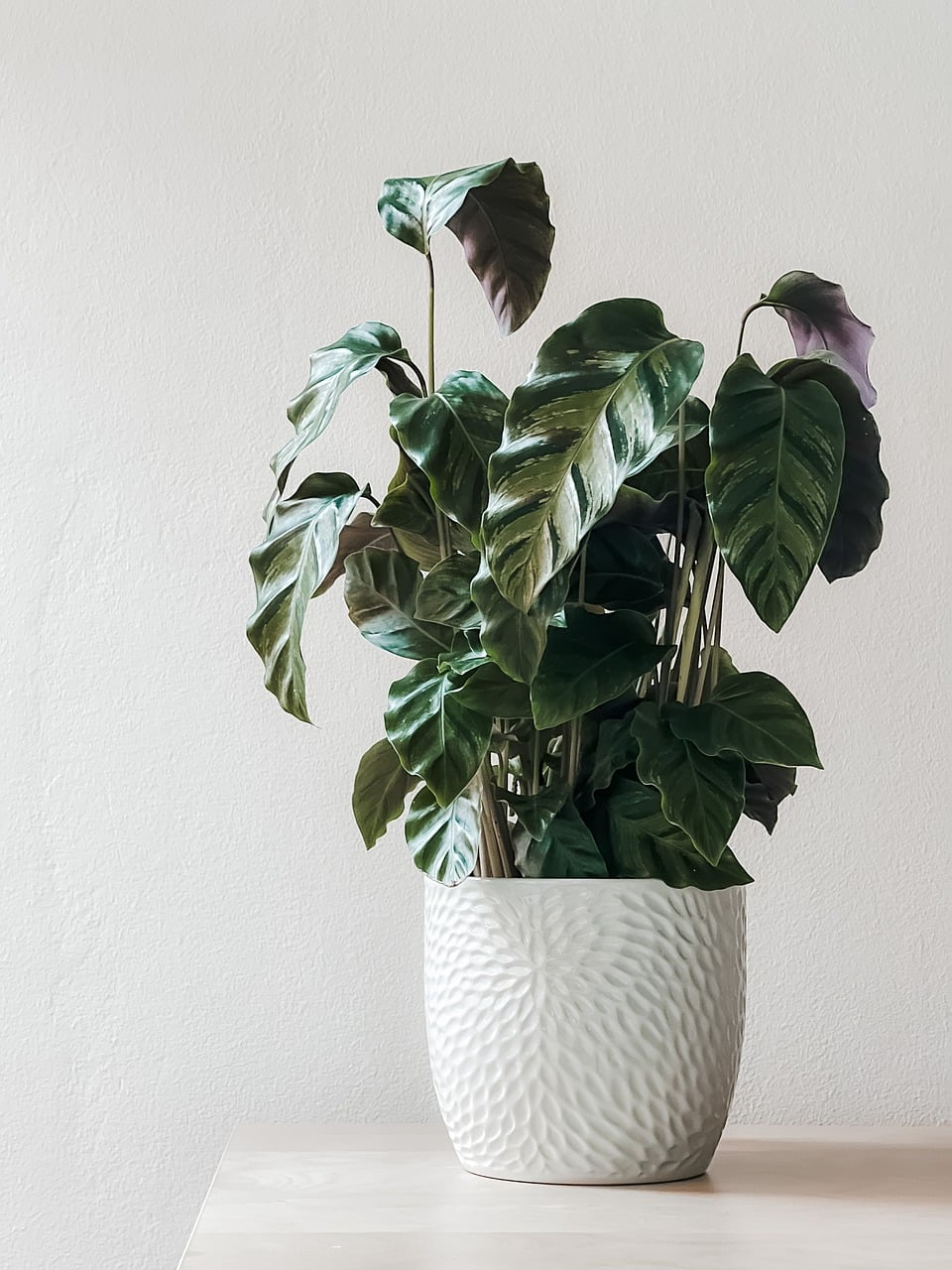 Mindful Therapies — evidence-based mental health care